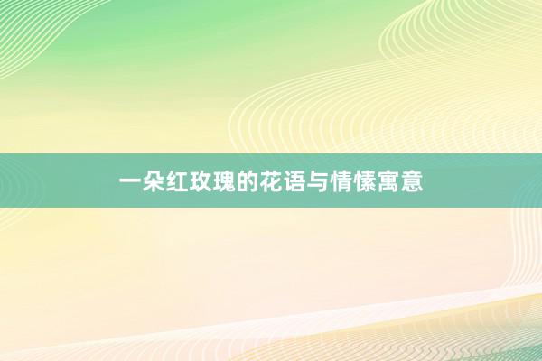 一朵红玫瑰的花语与情愫寓意