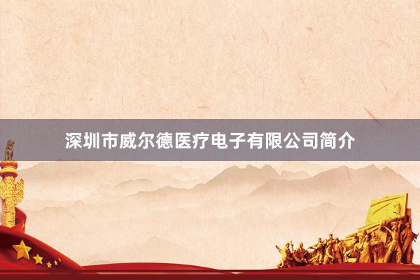 深圳市威尔德医疗电子有限公司简介