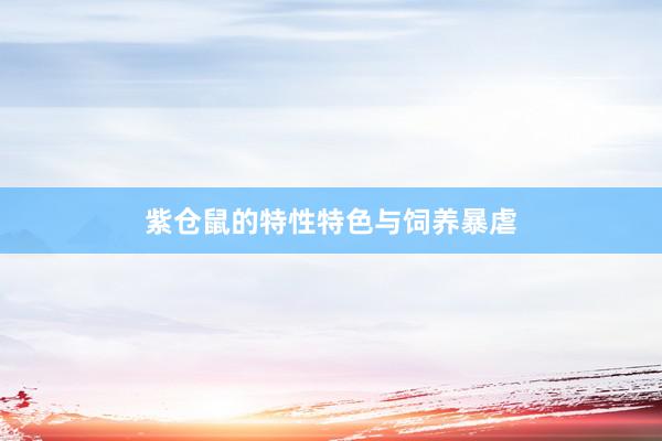 紫仓鼠的特性特色与饲养暴虐