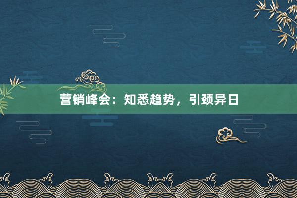 营销峰会：知悉趋势，引颈异日